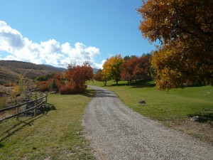 The Lodge at Spruce Creek Fall Driveway